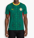 SENEGAL 2026 WORLD CUP AWAY SHIRT